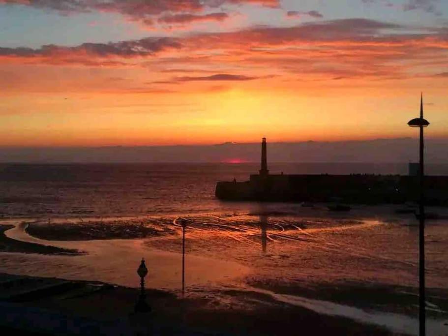 Harbour Lights Margate Apartment Bagian luar foto